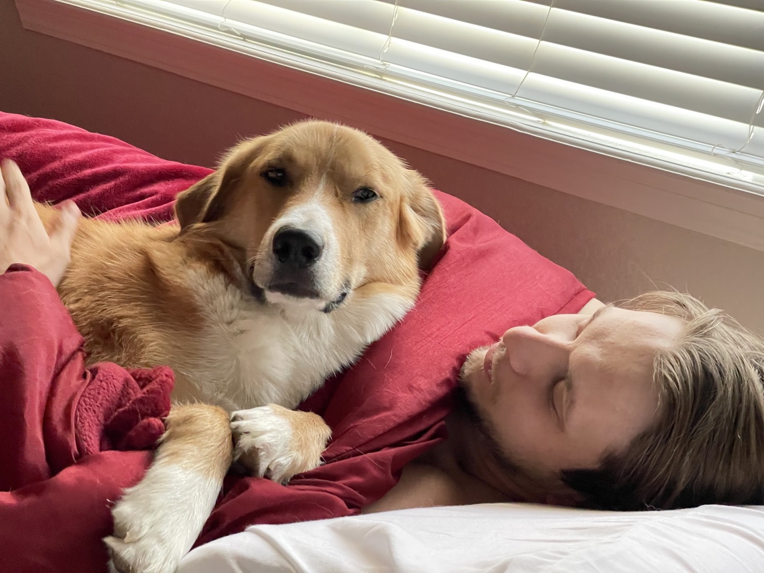 Luc resting beside a contented non-hog client